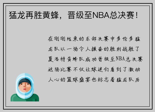 猛龙再胜黄蜂，晋级至NBA总决赛！
